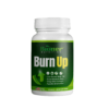 BurnUp